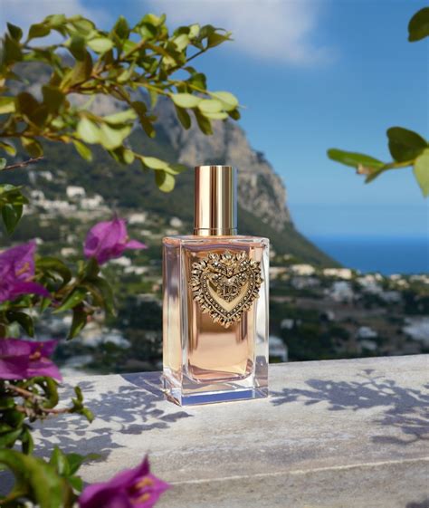 dolce and gabbana perfume authenticity check|dolce and gabbana ittierre.